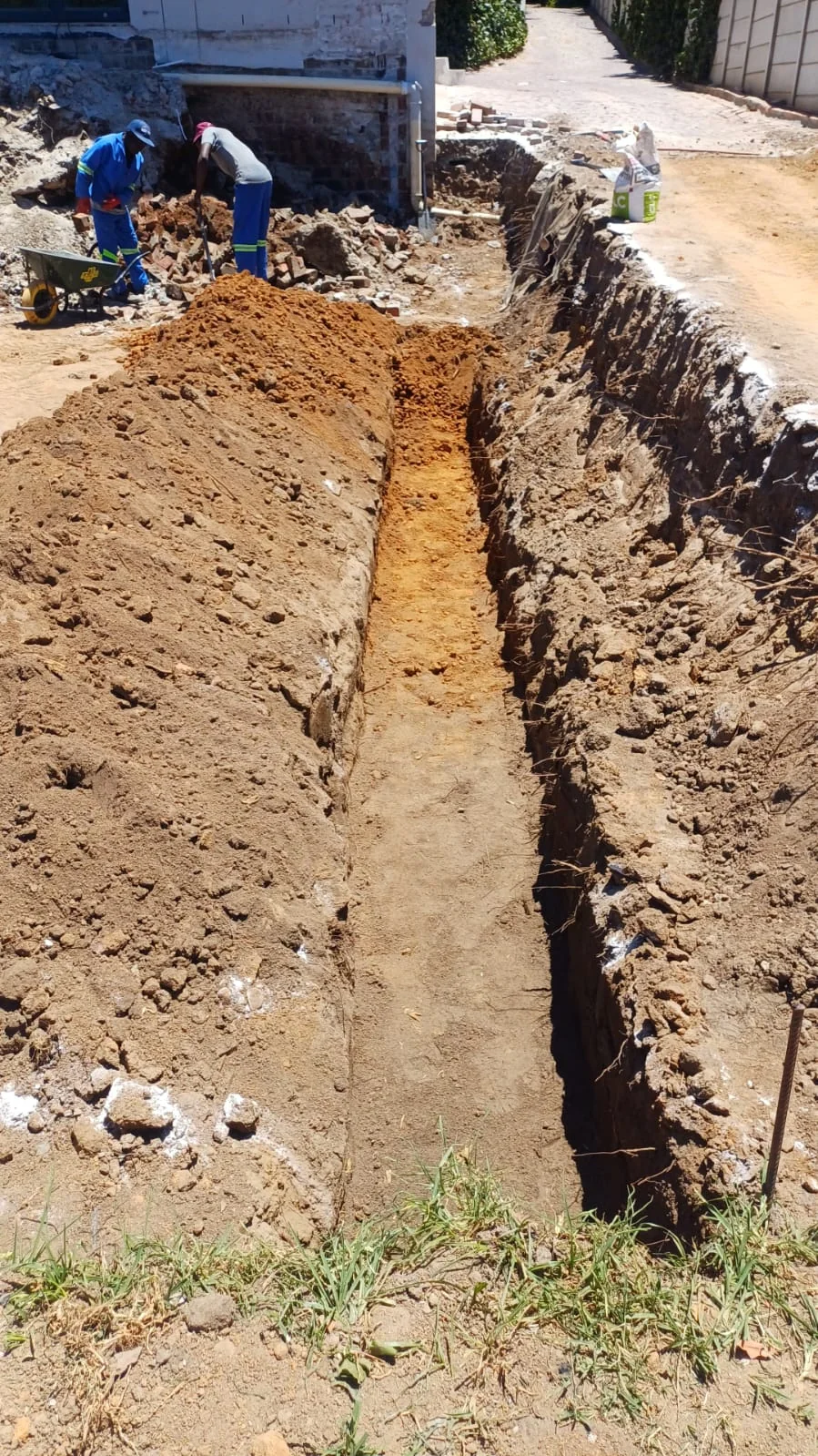 Site clearing operation removing dense vegetation and preparing ground